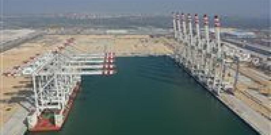 مجلس الوزراء للتنمية الصناعية: ميناء دمياط يستقبل 5 أوناش لمحطة الحاويات " تحيا مصر 1" - تواصل نيوز