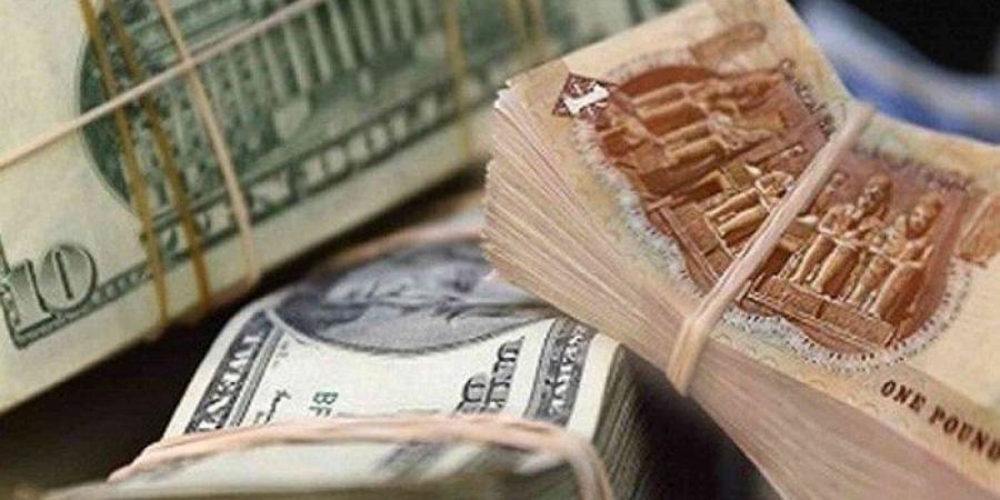 سعر الدولار مقابل الجنيه المصري اليوم السبت 14 يونيو 2025.. وفقًا لآخر تحديث - تواصل نيوز