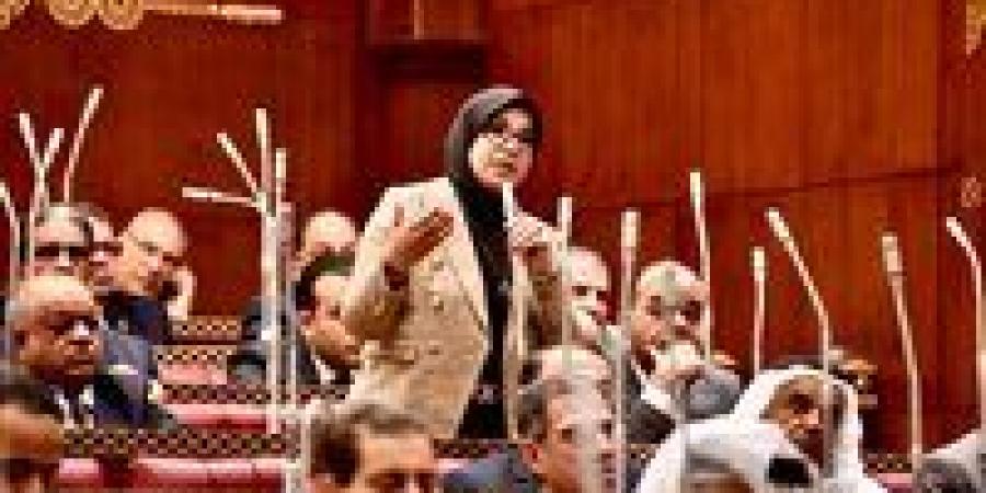 شاهد الان - النائبة دينا هلالي: احتقان المشهد الإقليمي نتيجة غياب الحلول السياسية ومصر تواصل تقديم نموذج السياسة المتزنة - تواصل نيوز