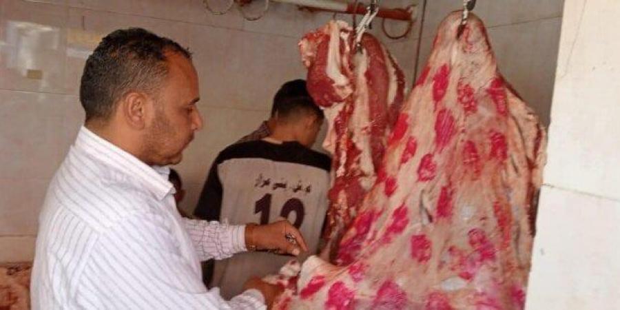 شاهد الان - ضبط 77 مخالفة تموينية خلال حملات تفتيشية على المخابز والأسواق بالمنيا - تواصل نيوز