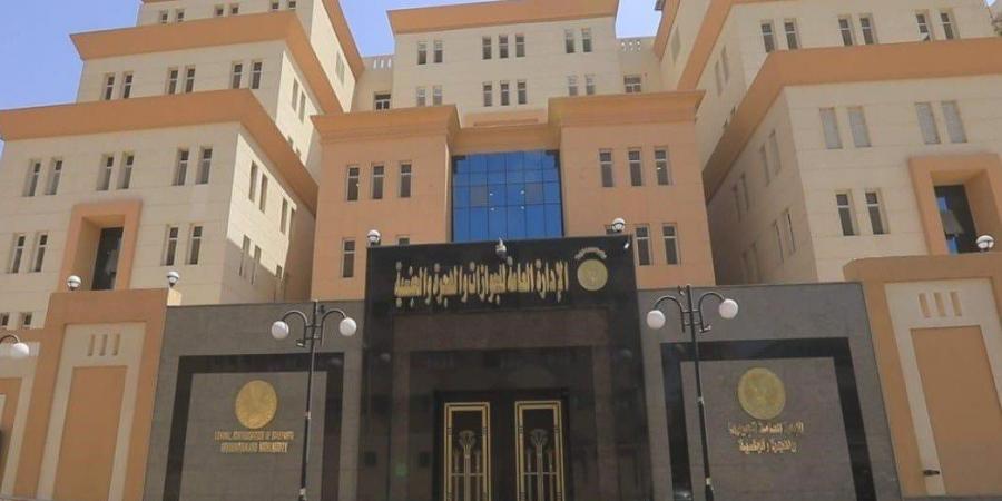 شاهد الان - «الجوازات» تواصل إجراءات تسهيل الحصول على خدماتها لـ كبار السن وذوي الهمم - تواصل نيوز