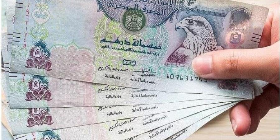 شاهد الان - سعر الدرهم الإماراتي مقابل الجنيه اليوم السبت 14 يونيو 2025 - تواصل نيوز