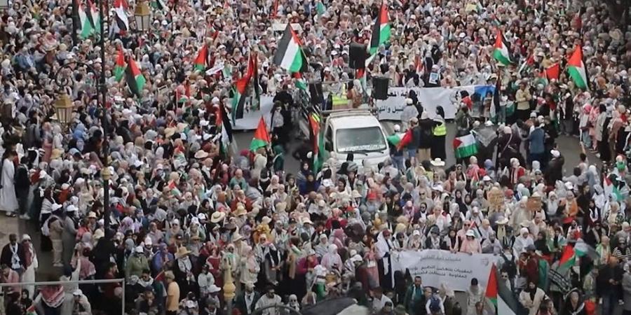 عاجل وحصرى - عشرات الآلاف يتظاهرون في بروكسل تضامنا مع فلسطين - تواصل نيوز