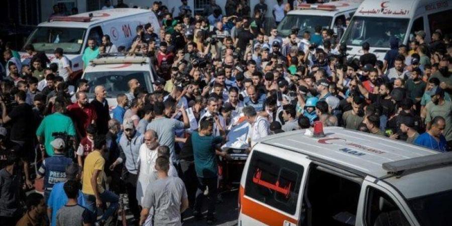 شاهد الان - 79 شهيدًا في غارات الاحتلال على غزة.. وارتفاع حصيلة الإبادة الجماعية المستمرة - تواصل نيوز