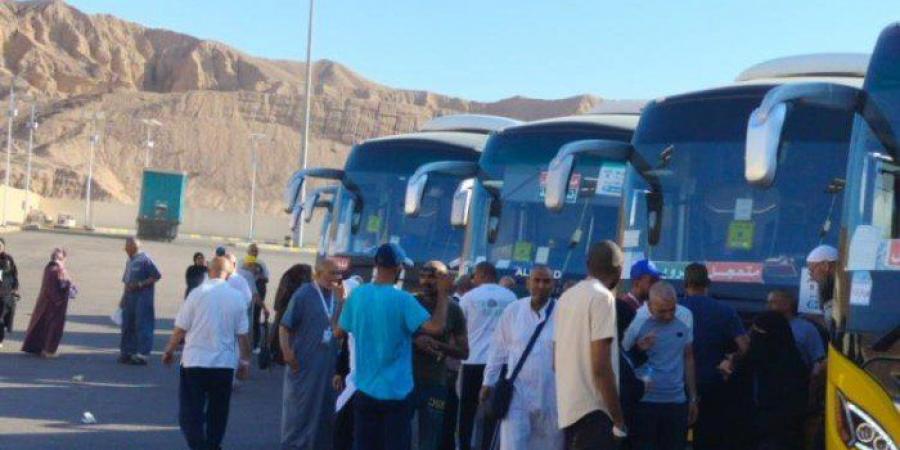اخبار اليوم - مصر.. عودة 55% من الحجاج عبر البر وتوجيه بالإسراع في استكمال رحلات العودة - تواصل نيوز