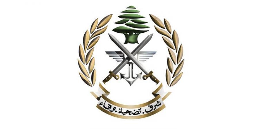 حصري فقط على تواصل نيوز - الجيش: مسيّرة تابعة للعدو الإسرائيلي سقطت في خراج ميس الجبل وعملنا على نقلها وإجراء اللازم - تواصل نيوز