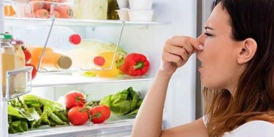 عاجل وحصرى - حلول طبيعية للتخلص من روائح الثلاجة المزعجة - تواصل نيوز