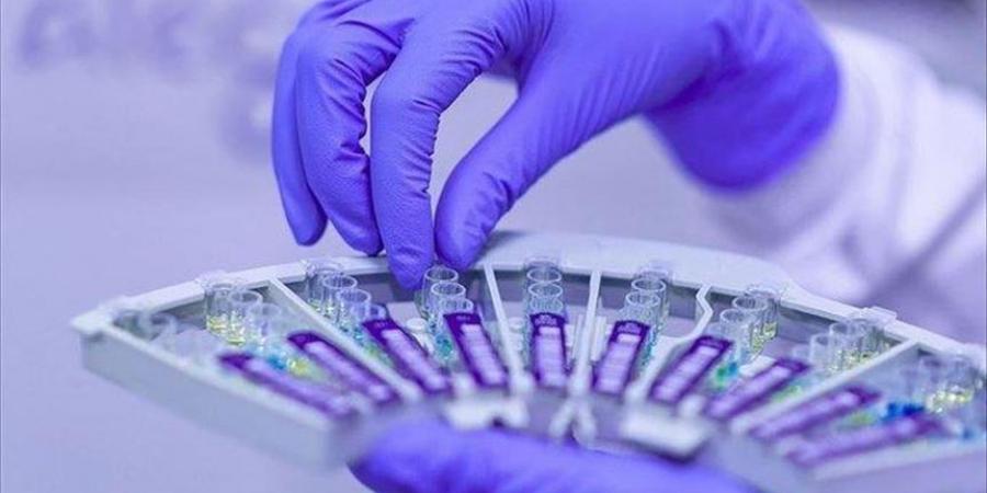عاجل وحصرى - خبير:انتقال فيروسات الميربيكو إلى البشر مسألة وقت - تواصل نيوز
