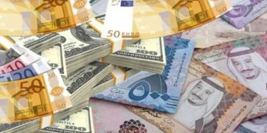 شاهد الان - أسعار العملات العربية والأجنبية في مصر اليوم.. الإثنين 16-6-2025 - تواصل نيوز