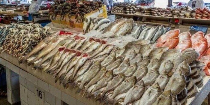 أسعار الأسماك اليوم الأحد 25 أكتوبر 2026 البلطي البوري الجمبري في الأسواق