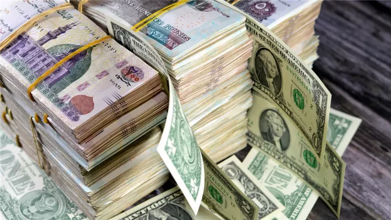 ارتفاع سعر الدولار يتجاوز 56 جنيها وخبير أسواق المال يكشف الأسباب