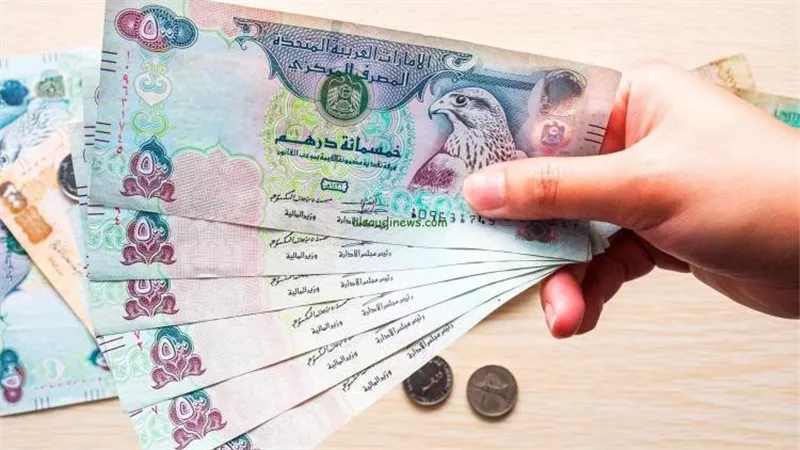 استقرار سعر الدرهم الإماراتي مقابل الجنيه في البنوك اليوم الأحد 25 أكتوبر