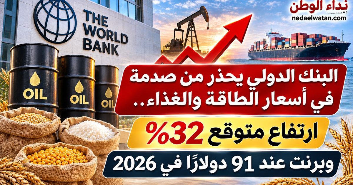 البنك الدولي يحذر من صدمة قوية في أسعار الطاقة تؤثر على الأسواق العالمية