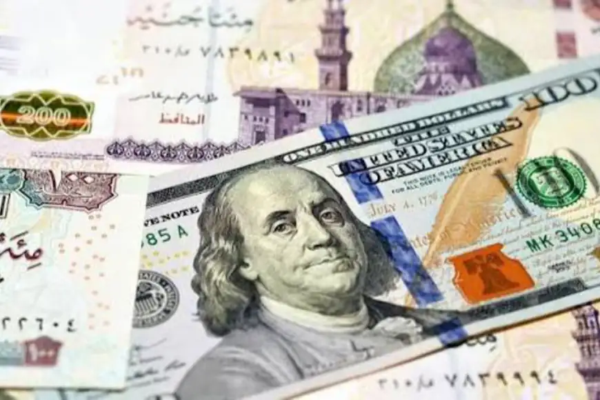 الدولار يرتفع أمام الجنيه المصري تعرف على أسعار الصرف في البنوك اليوم