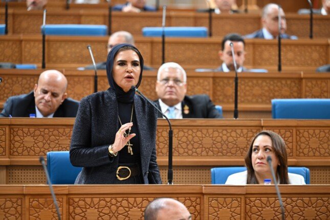سحر نصر تكشف خريطة تطوير بنك الاستثمار القومي وتأثيرها على القطاع الخاص والشركات الناشئة