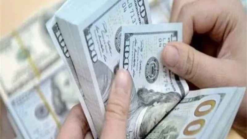 سعر الدولار اليوم وتطوراته التي تؤثر على السوق المحلي