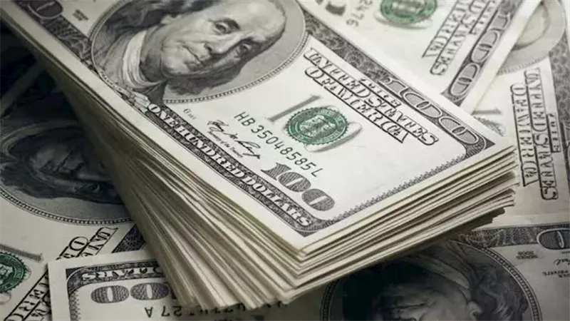 سعر الدولار مقابل الجنيه المصري اليوم الجمعة 16 أكتوبر 2026