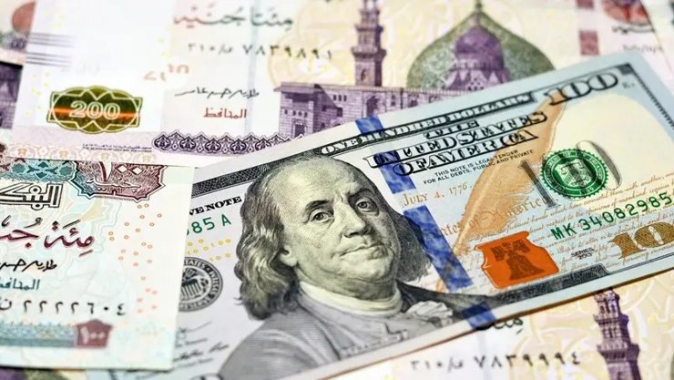 سعر الدولار مقابل الجنيه المصري اليوم وتحديثات السوق اللحظية