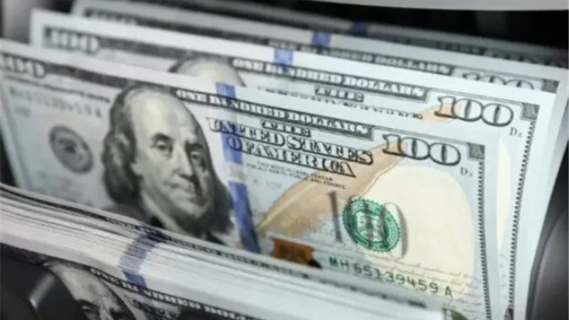 سعر الدولار يرتفع بنحو 2 جنيه في أسبوع تعرف على السعر الحالي