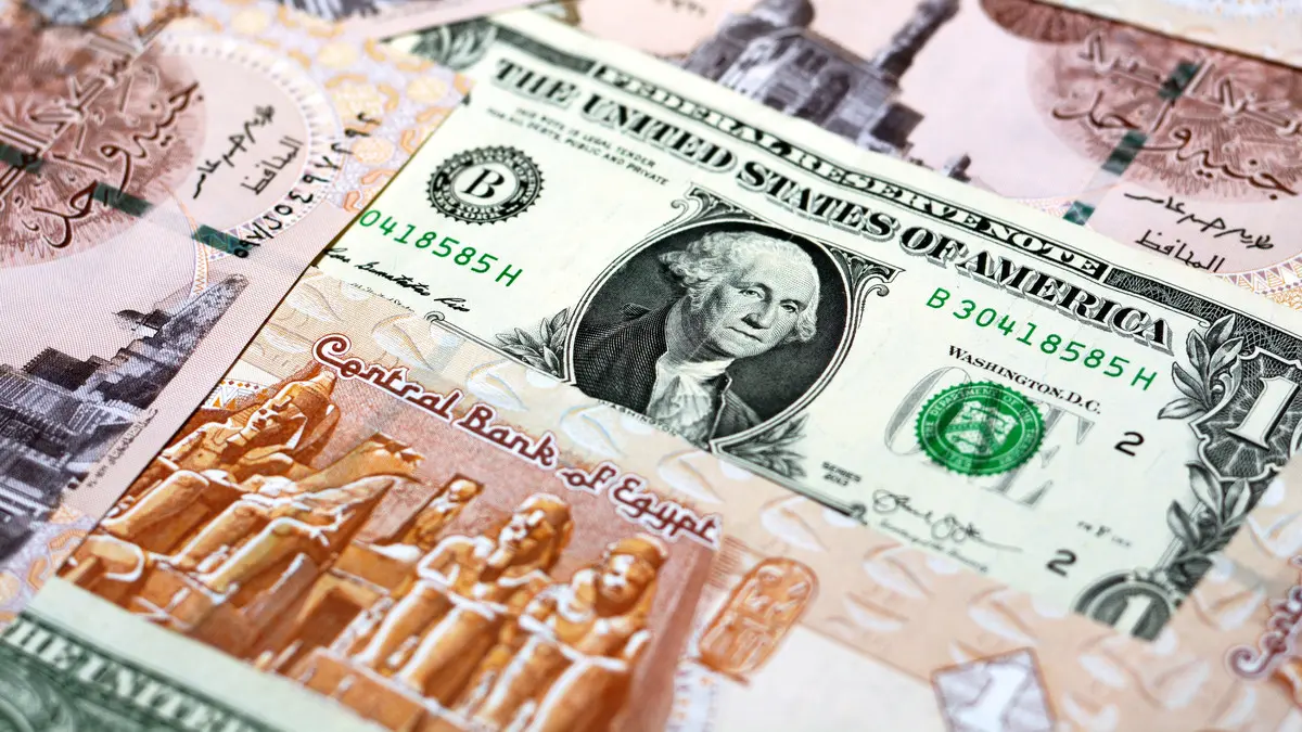 سعر صرف الدولار يرتفع بنحو 8 26 جنيه خلال 8 أشهر ويتجاوز 56 جنيهًا في السوق المحلية