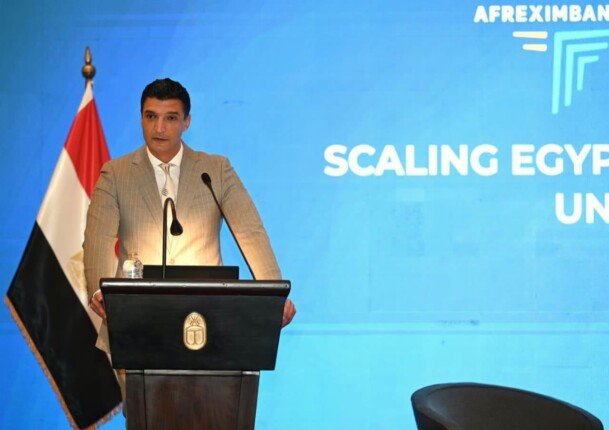وزير الصناعة يكشف خطة الحكومة لتعزيز صادرات الأدوية والصناعات الزراعية إلى أفريقيا وترسيخ التعاون الاقتصادي